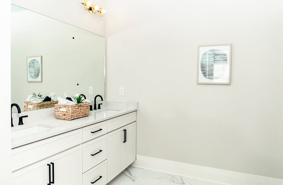 Master Bathroom Vanity 919x600